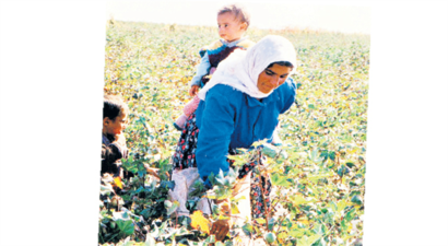 Tarımda en mağdur grup kadın işçiler