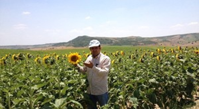 Yağlı Tohum ve Türevlerinin İthalatına 1 Yılda 4 Milyar 286 Milyon Tl