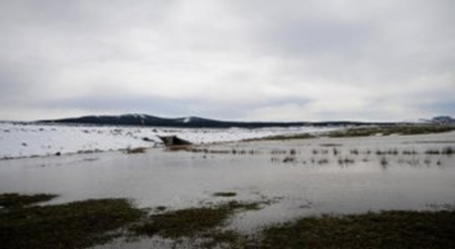 Yağışlar Ekimi Geciktiriyor