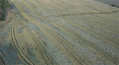 Tekirdağ`da Dolu ve Fırtına Ekili Alanlara Zarar Verdi