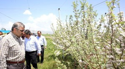 Büyükşehir`den Tarımsal Kalkınma Hamlesi