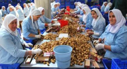 İncir Üreticiden 5 Liraya Çıkıyor, Markette 32 Liraya Satılıyor