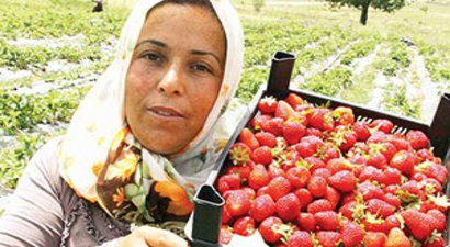 Kadınlar için `çilek bahçeleri` geliyor