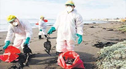 1500 kuşun esrarengiz ölümü