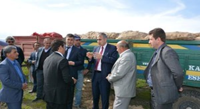 Pasinler`de Çiftçiler, Sertifikalı Anaç Tohumculuğa Yöneldi