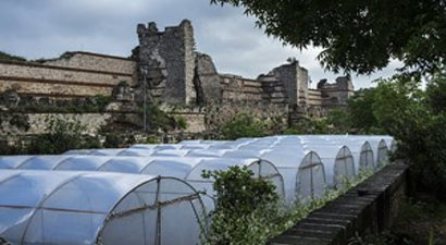 Tarihi Yedikule bostanları, yüzyıllara direniyor