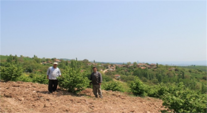 Yenişehir Fındıkları Yurt Dışına İhraç Ediliyor