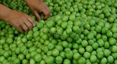 Zirai don eriği vurdu