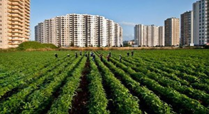 ZMO: 10 Yılda Belçika Büyüklüğünde Tarım Arazisi Kaybedildi