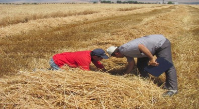 Araban Ovası`nda Biçerdöver Kontrollerden Geçiriliyor