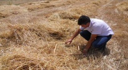 Dalaman`da Biçerdöver Kontrolleri Başladı