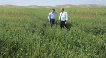 Çiftçilere `tarım sigortası` çağrısı