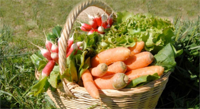 Organik tarım 5 kat arttı