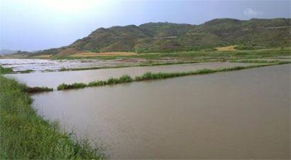 Çorum`da tarım arazileri su altında kaldı