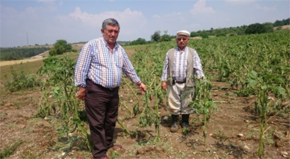 Dolu, Bursa`daki tarım arazilerini olumsuz etkiledi