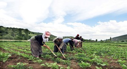 Bakanlıktan üreticiye ödenek!
