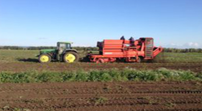 Tarım, Hayvancılık ve Tarım Makinaları: Uluslararası Tarla Günleri