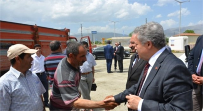 Damızlık Boğalar Kurayla Çiftçilere Dağıtıldı