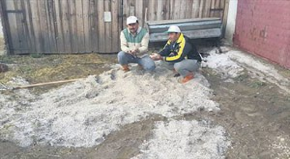 Dolu 4 bin dönüm alana zarar verdi