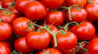 Domates ve Biber Fiyatı Dibe Vurdu