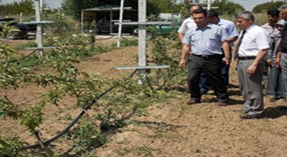 Meyvecilik Projeleri Meyvelerini Vermeye Başladı