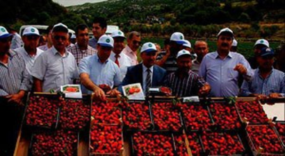 Organik tarım umut veriyor