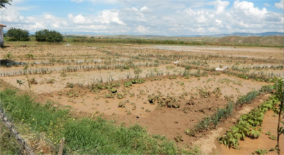Tarım arazilerini sel vurdu