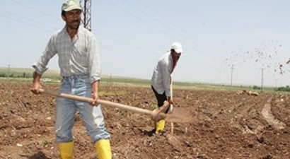 Tarım göçüne arazi önlemi