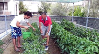 Apartmana Hobi Bahçesi Kurdu