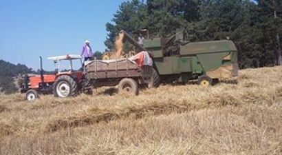 Çakıroğlu Derneği Buğdayları Biçerdöverle Buluşturdu