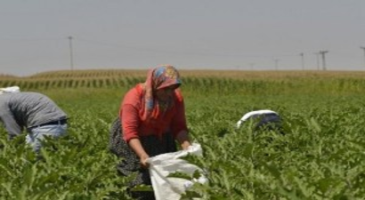 Dayanışmacı Ekonominin İlk Ürünleri Pazarda