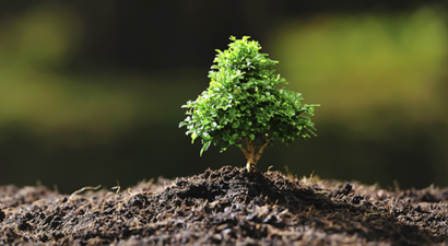 2015 Toprağın Yılı