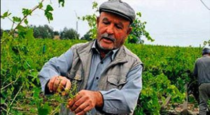 Dondan etkilenen üreticiye destek