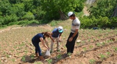Ezo`nun Danışmanları Tarlalarda