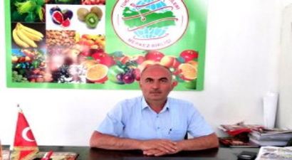 Fındık Hasadında 16 Yaş ve Altındaki Çocukların Çalıştırılması Yasak