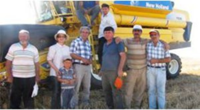 Hububat hasadında `dane kaybı` uyarısı