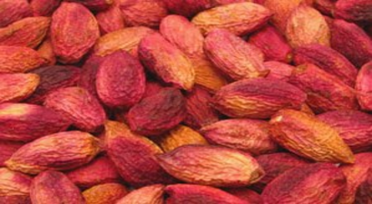 Yılın İlk Antepfıstığı Olgunlaştı