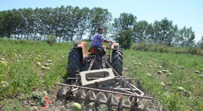 Savaş ve Operasyonlar Kavun Karpuz Üreticisini de Vurdu