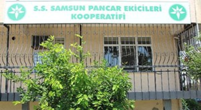 Pancar Üretimi Bitme Noktasında