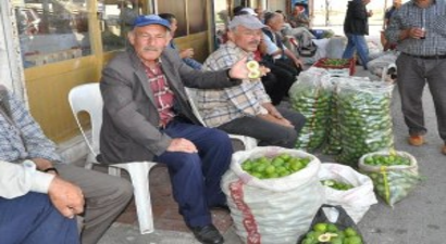 Pazara `Sinek` Almaya Geliyorlar