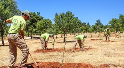 Şehitkamil Belediyesi`nin Örnek Projesi Meyve Verdi