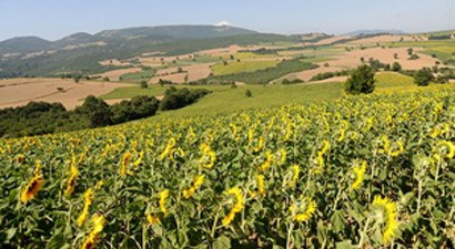 Yenişehir, tarıma dayalı sanayiyle dünyaya açılacak
