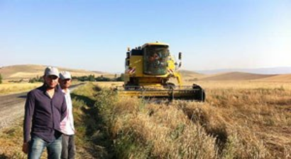 Yozgat çiftçisini buğday fiyatı tatmin etmedi