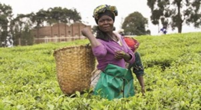 Afrikalı kadına İK desteği