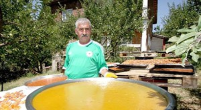 Ahlat`ta Kayısı Bereketi