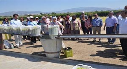 Alaşehirli Kadın Çiftçiler Bağcılık Eğitiminde Buluştu