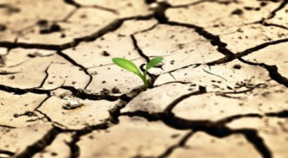 Almanya Kuraklığın Ne Manaya Geldiğini 50 Yıl Sonra Gördü