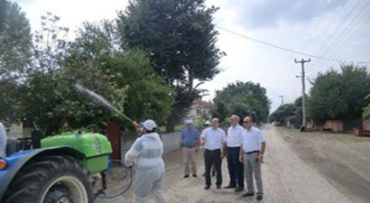 Amerikan Beyaz Kelebeği ile Mücadele Sürüyor