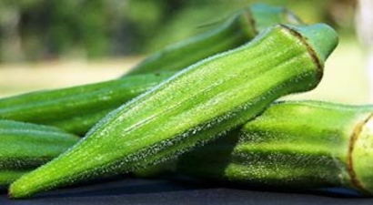 Fiyatı Altınla Ölçülen Ürün`de Hasat Zamanı