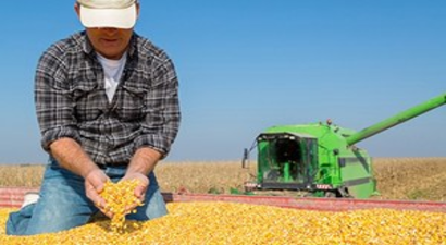 Bursalı çiftçi planlı ekim istiyor